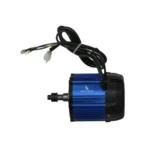 48V 1000W Motor