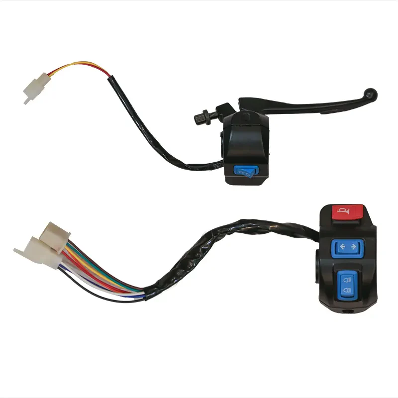 E-Rickshaw LR Switch