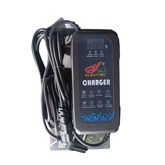 Lead Acid Battery charger 60V 3A with Display