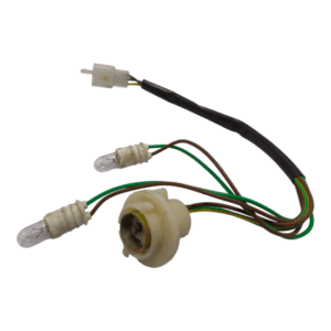 Tail Light holder and indicator